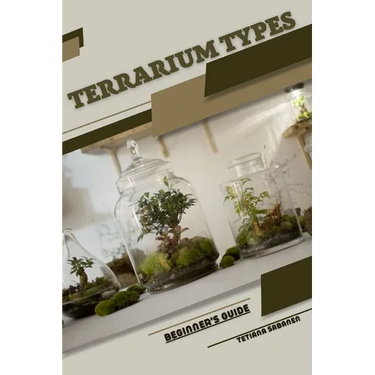 Terrarium Types: Beginner's Guide