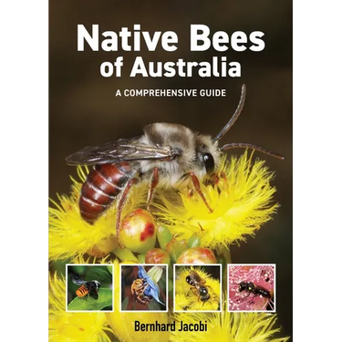 Native Bees of Australia: A Comprehensive Guide