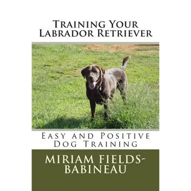 Training Your Labrador Retriever: Easy and Positive Dog Training