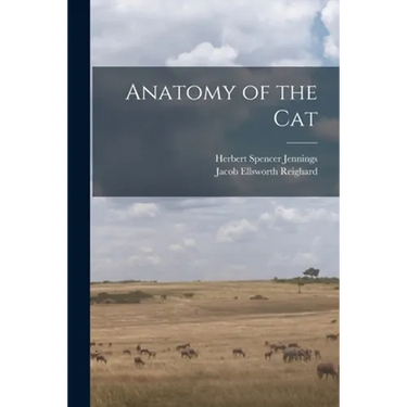 Anatomy of the Cat