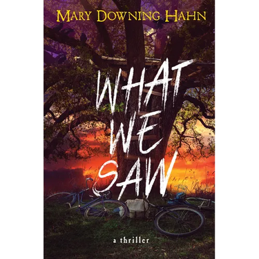 What We Saw: A Thriller