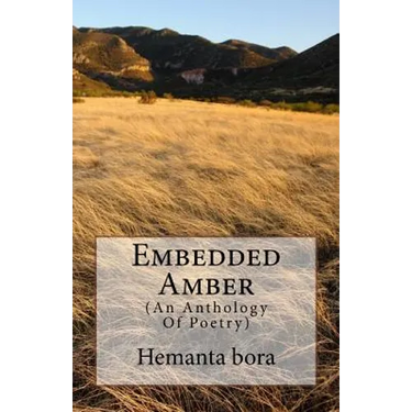 Embedded Amber: Soul- in Search of the Solace