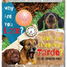 Why Are You Late?