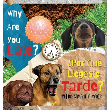 Why Are You Late?