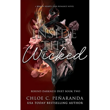 Inside The Wicked (Behind Darkness Duet Book 2)