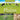 Animals of the Plains Wildlife of the Grasslands Encyclopedias for Children