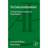 The Endocannabinoidome: The World of Endocannabinoids and Related Mediators