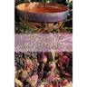 The Essence of Herbal and Floral Teas