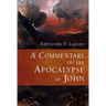 A Commentary on the Apocalypse of John