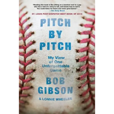 Pitch by Pitch: My View of One Unforgettable Game