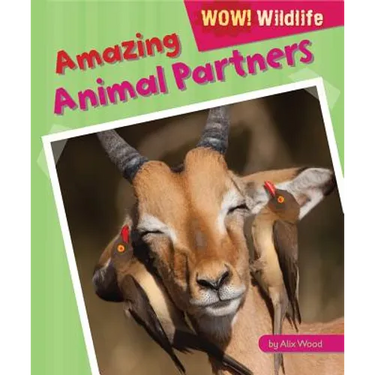 Amazing Animal Partners