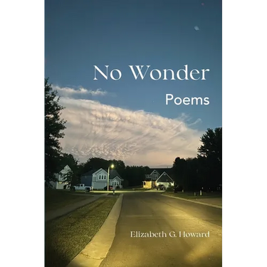 No Wonder: Poems