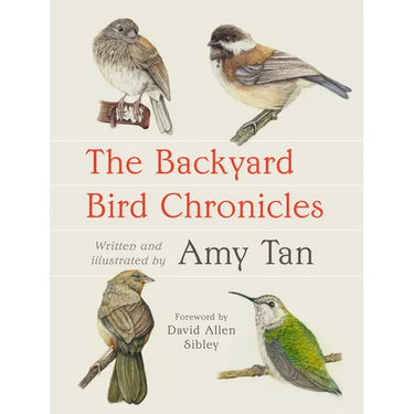 The Backyard Bird Chronicles