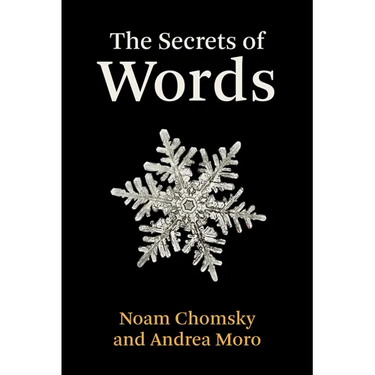 The Secrets of Words