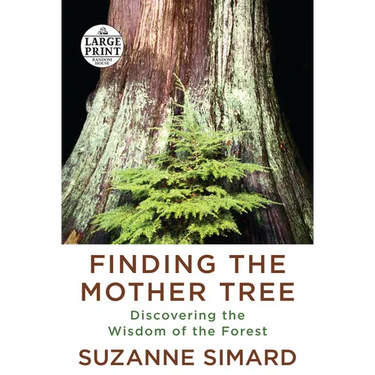 Finding the Mother Tree: Discovering the Wisdom of the Forest