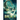 The Breach