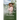 Chronicles of Avonlea