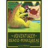 The Adventures of Gracie & MonkeyBear: Book 1: Summer
