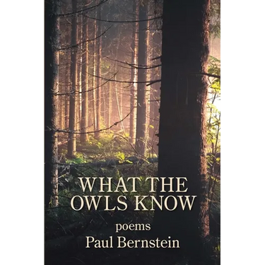 What the Owls Know