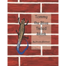 Tommy the Blue Tailed Skink