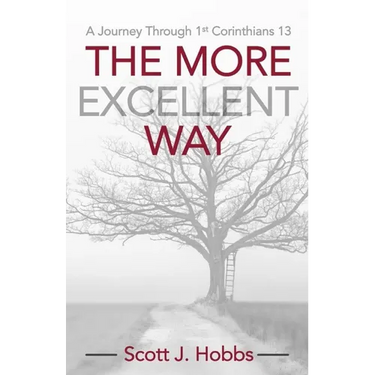 The More Excellent Way: A journey through 1st Corinthians 13