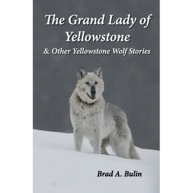 The Grand Lady of Yellowstone: & Other Yellowstone Wolf Stories