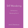 Still Wandering: Still Wondering (Wanderings Part 4)