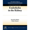Endothelin in the Kidney