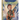 Bruce Springsteen a Little Golden Book Biography