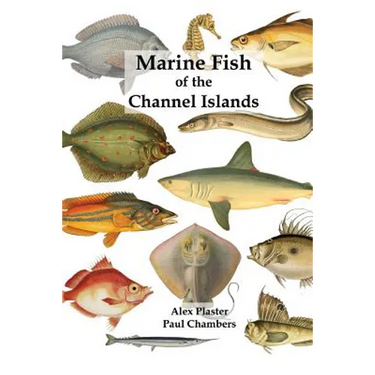 Marine Fish of the Channel Islands