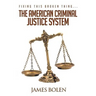 Fixing This Broken Thing...The American Criminal Justice System
