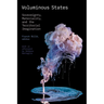 Voluminous States: Sovereignty, Materiality, and the Territorial Imagination