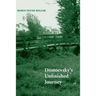 Dostoevsky's Unfinished Journey
