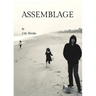 Assemblage