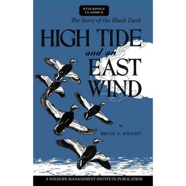 High Tide and an East Wind
