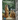Meerkat: Picture Perfect Photo Book