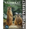 Meerkat: Picture Perfect Photo Book
