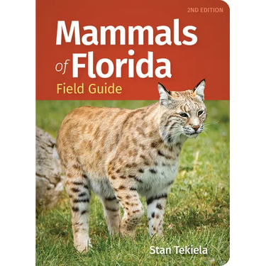Mammals of Florida Field Guide
