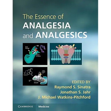 The Essence of Analgesia and Analgesics