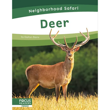 Deer