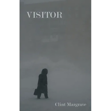 Visitor