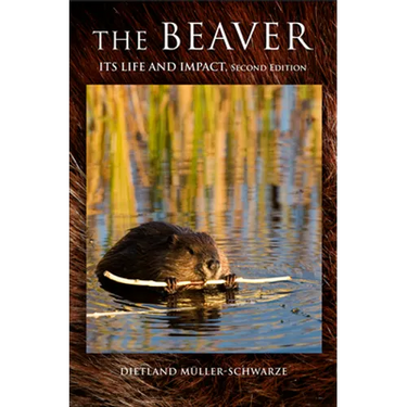 The Beaver: Natural History of a Wetlands Engineer