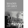 Shades of Grey: A Political Memoir of Modern Indonesia 1965-1998