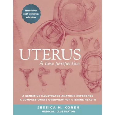 Uterus: A new perspective
