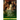 The Fourfold Gospel Or, A Harmony of the Four Gospels