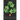 Human Resources