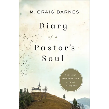 Diary of a Pastor's Soul