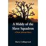 A Middy of the Slave Squadron: A West African Story