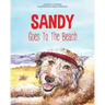 Sandy Goes To The Beach