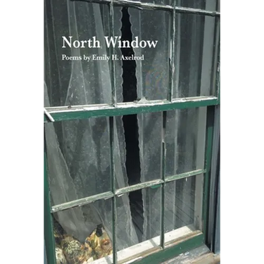 North Window